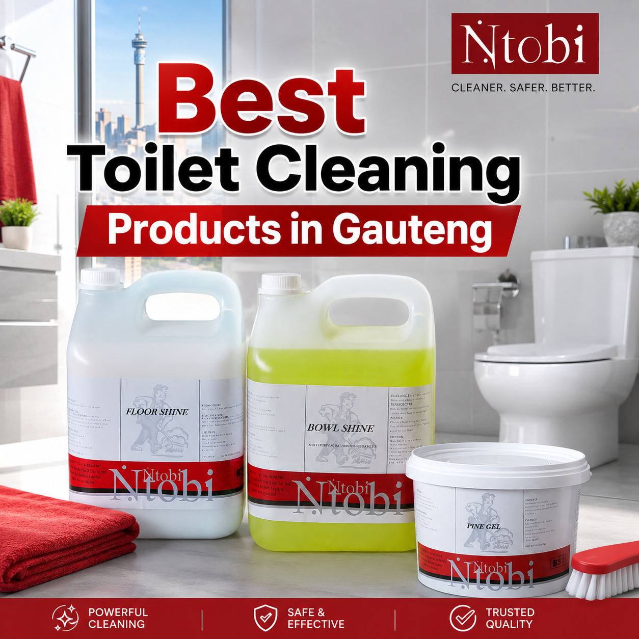 Best Toilet Cleaning Products in Gauteng